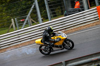 brands-hatch-photographs;brands-no-limits-trackday;cadwell-trackday-photographs;enduro-digital-images;event-digital-images;eventdigitalimages;no-limits-trackdays;peter-wileman-photography;racing-digital-images;trackday-digital-images;trackday-photos